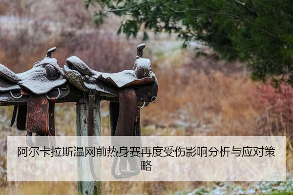 a-er-ka-la-si-wen-wang-qian-re-shen-sai-zai-du-shou-shang-ying-xiang-fen-xi-yu-ying-dui-ce-lve-2-680.jpg